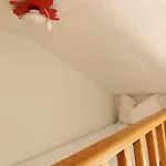 Mira Bol